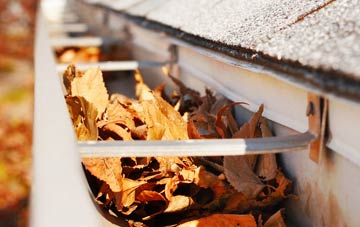 Norton Little Green gutter cleaning companies