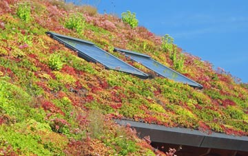 Norton Little Green living roof systems