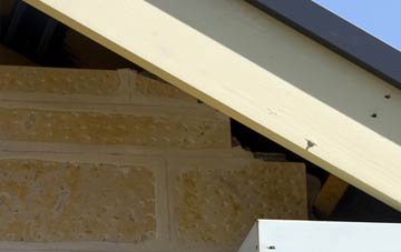 soffit repair Norton Little Green