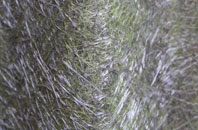 Norton Little Green fibreglass roof work
