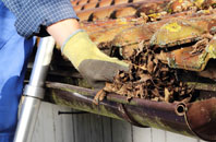 Norton Little Green gutter cleaners