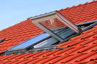 Norton Little Green roof window